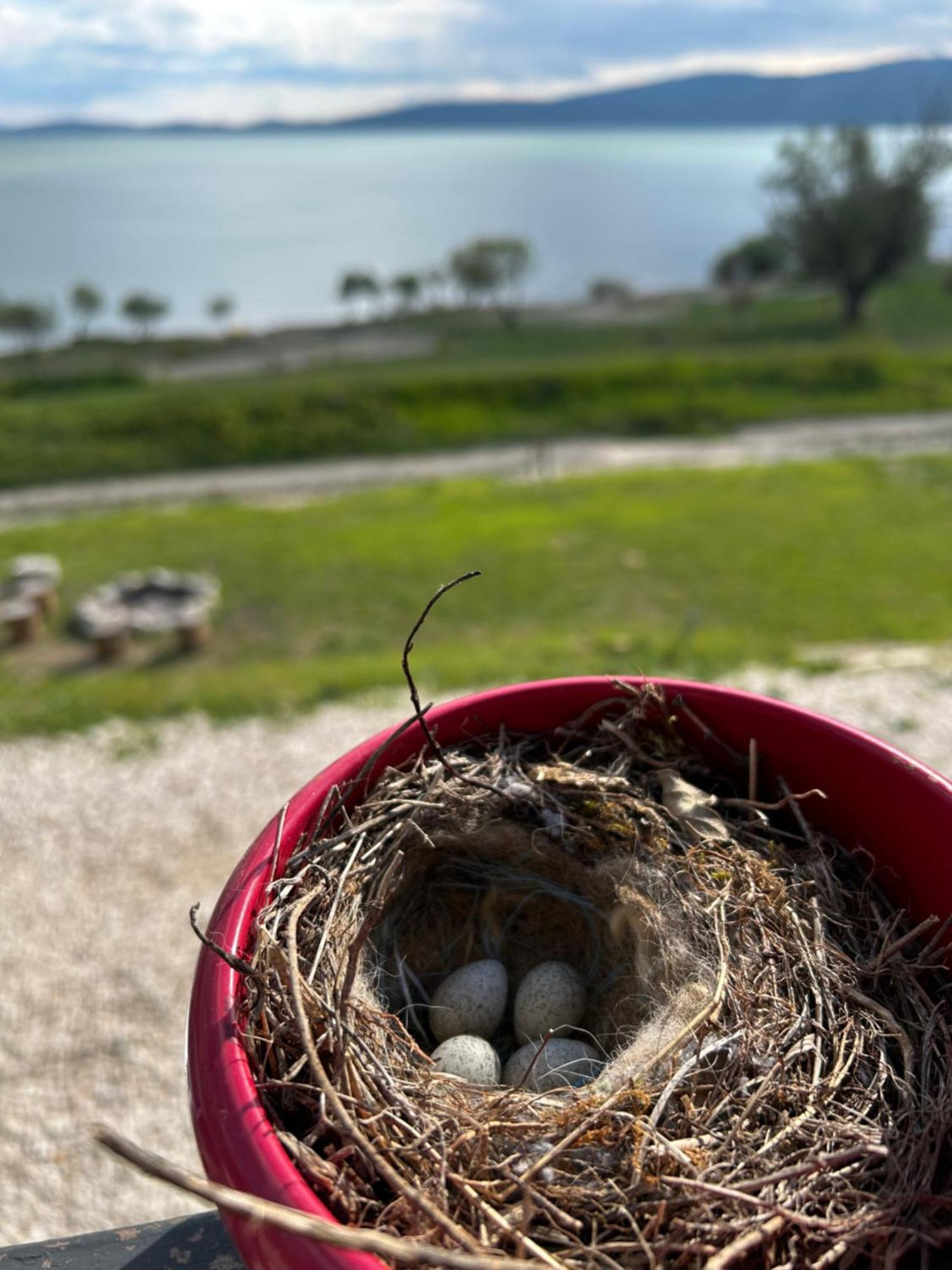 Lake House Beliz Livno Exterior foto